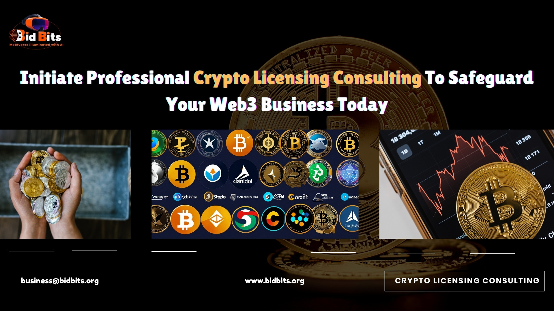 Crypto Licensing Consulting